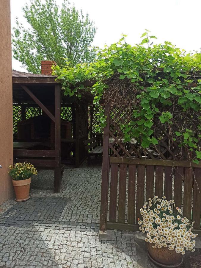 Noclegi Na Portowej Sandomierz Dış mekan fotoğraf